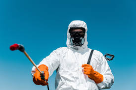 Best Real Estate Pest Inspections  in New River, AZ